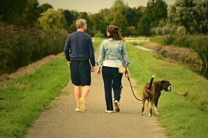 犬の夢はラッキーシンボル 毛色や状況別に見る夢の意味 夢占い Com