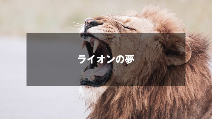 ライオンの夢の意味は？権力や強さ、リーダーシップをチェック！